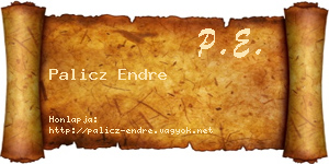 Palicz Endre névjegykártya